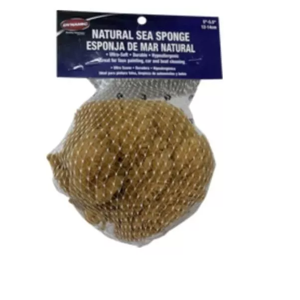 00004 5 - 5.5 In. Dynamic Natural Sea Sponge
