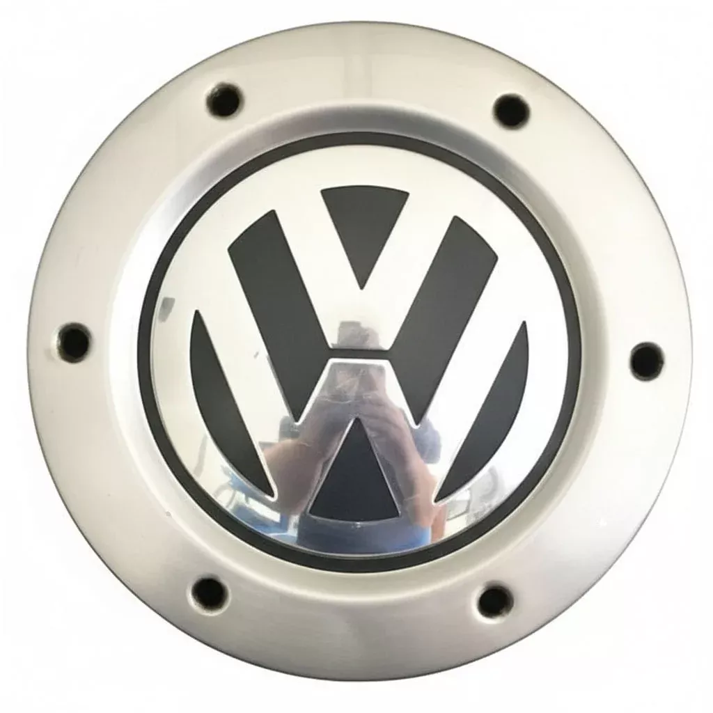 '02-05 Volkswagen Beetle 17" 6 Spoke Wheel Center Cap 69813CC
