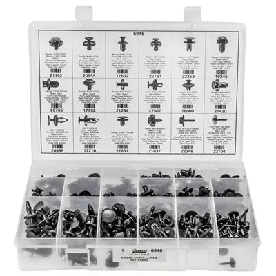Au-ve-co 6946 Engine Cover Clips and Fasteners Assortment, 250 -Piece