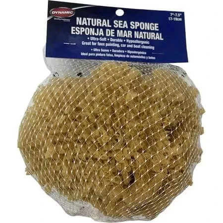 Dynamic Natural Sea Sponge 7 - 7.5 Inches (17-19 Centimeters)