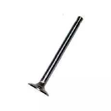 F041620 | VALVE INTAKE INTER. DT 466 | Replace 675046 | 491001