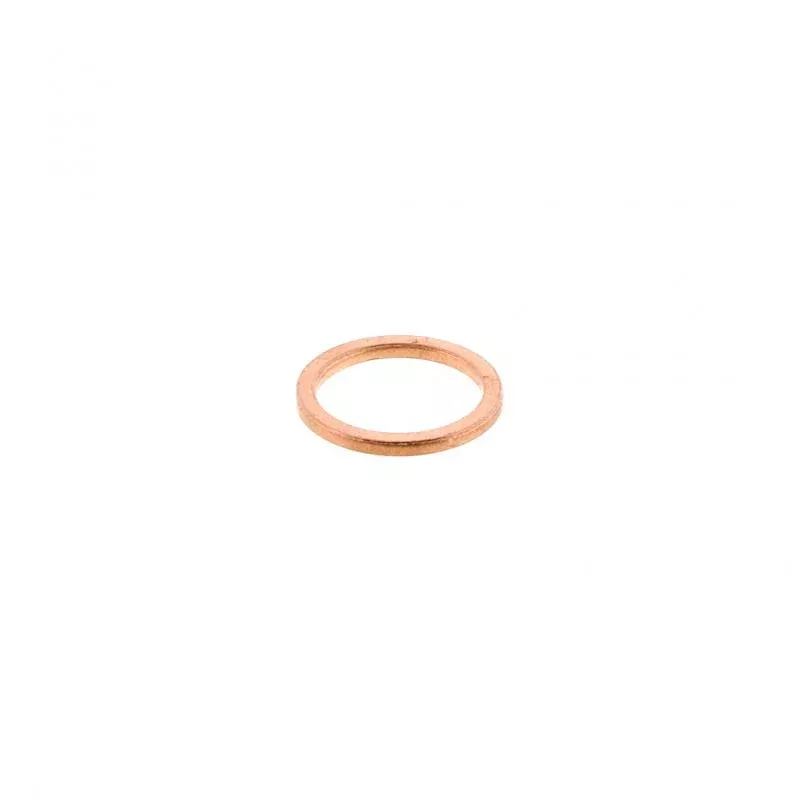 Pai 042091 Cummins 4891385 Copper Washer