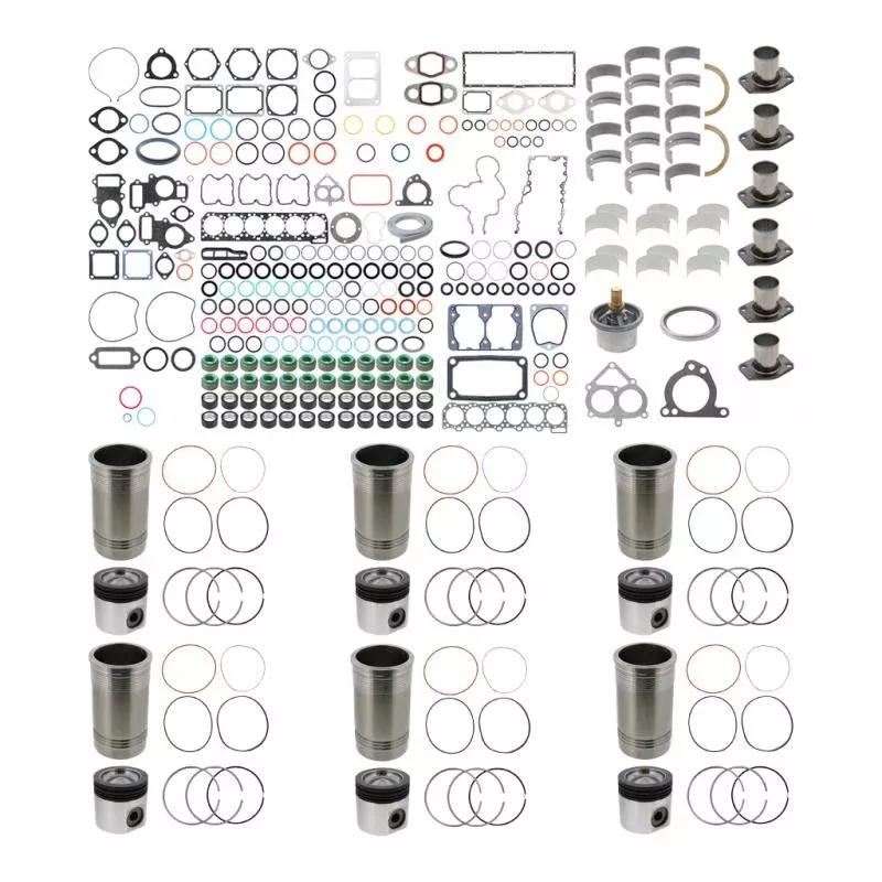 Pai C15602-010 Engine Overhaul Kit